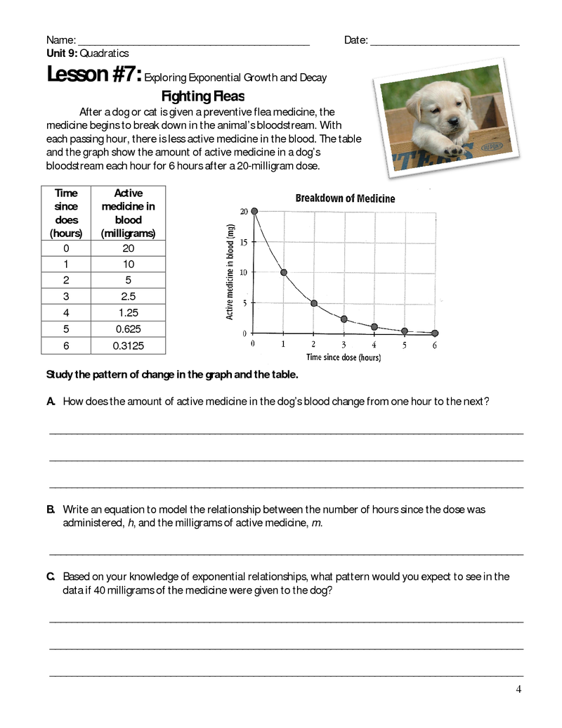 Algebra Graphing Exponential Growth And Decay Functions Worksheet