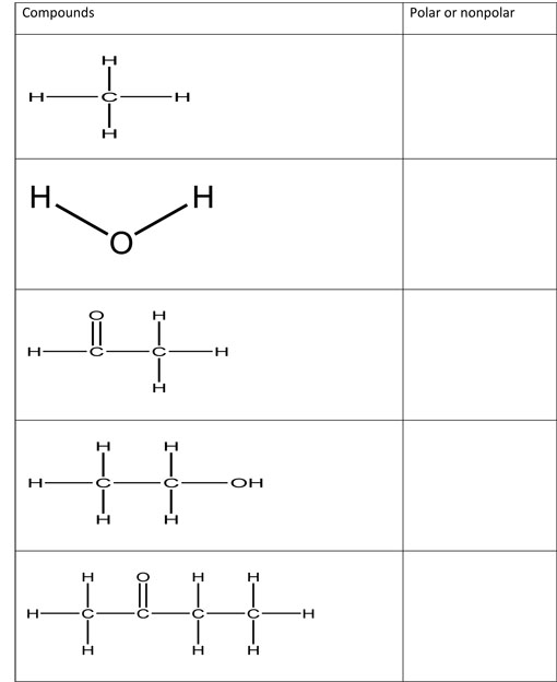 27 Identifying Functional Groups Worksheet With Answers Worksheet 