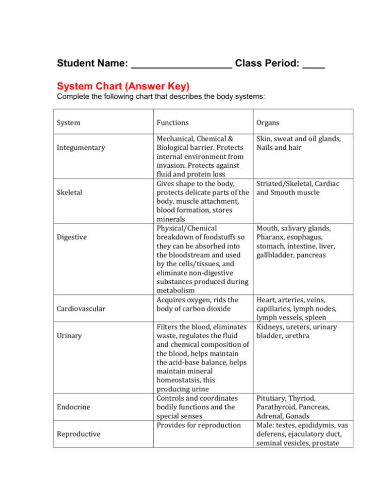 body-parts-system-and-functions-answer-key-function-worksheets