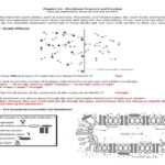 Cell Membrane Structure And Function Worksheet Answer Key Pdf My PDF