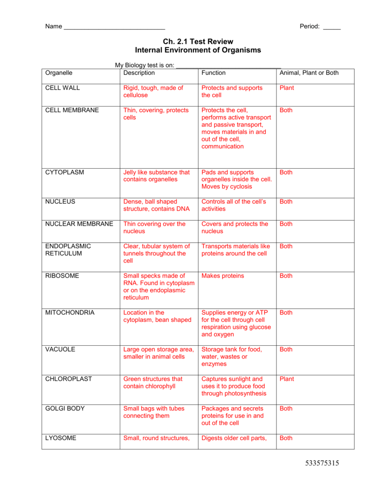 Cell Organelles Worksheet