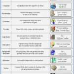 Cells And Organelles Worksheet Inspirational Cell Organelle Matching