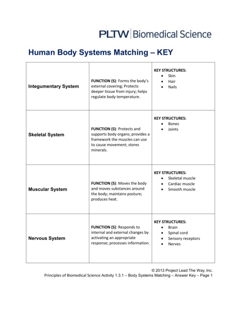 human-body-systems-matching-key-function-worksheets