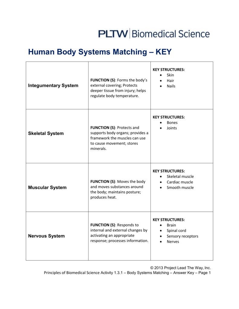 Human Body Systems Matching KEY