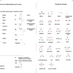 Identifying Functional Groups Worksheet With Answers Worksheet