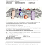 Inside Outside Worksheets