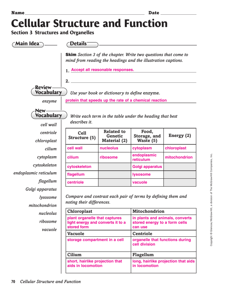 Lesson 7 2 Cell Structure Worksheet Answers Db excel