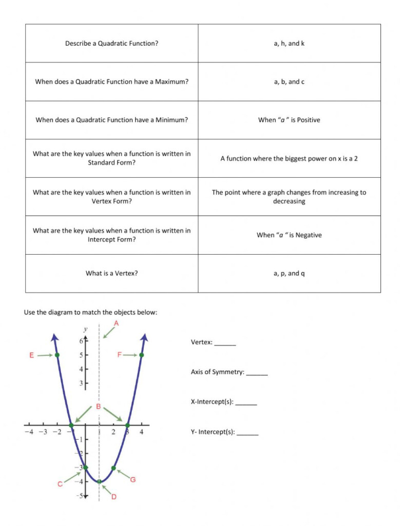 Basic Vocabulary Quadratic Functions Worksheet