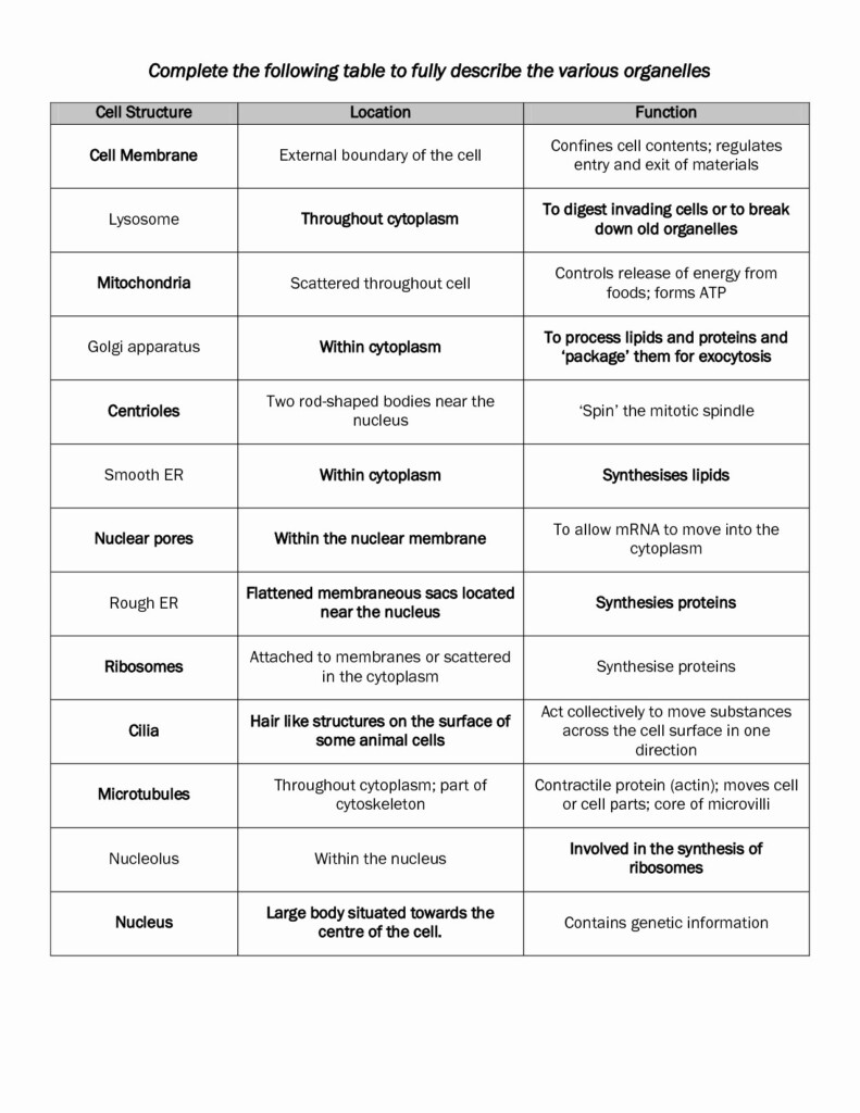 Cell Organelles And Their Functions Worksheet Answers Db excel