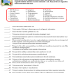 Cell Organelles And Their Functions Worksheets Answers With Images