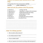 Characteristics Of Living Things Worksheet Answers Key Worksheet
