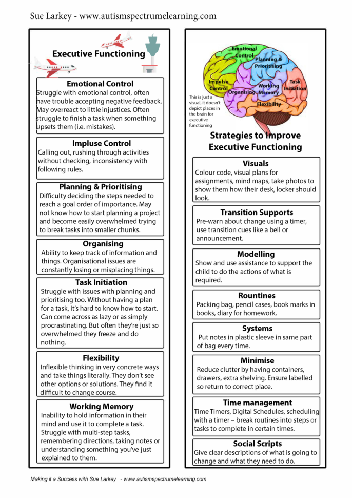 Executive Function Worksheets For Adults Db excel