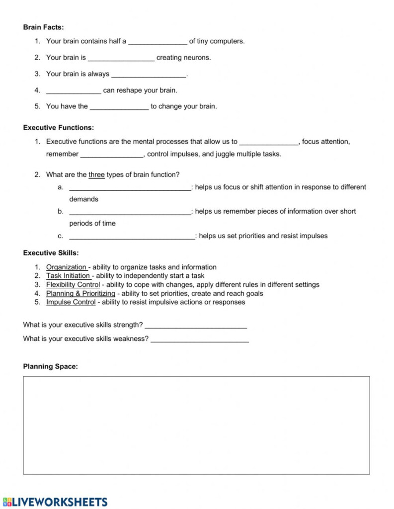 Executive Functioning Worksheet