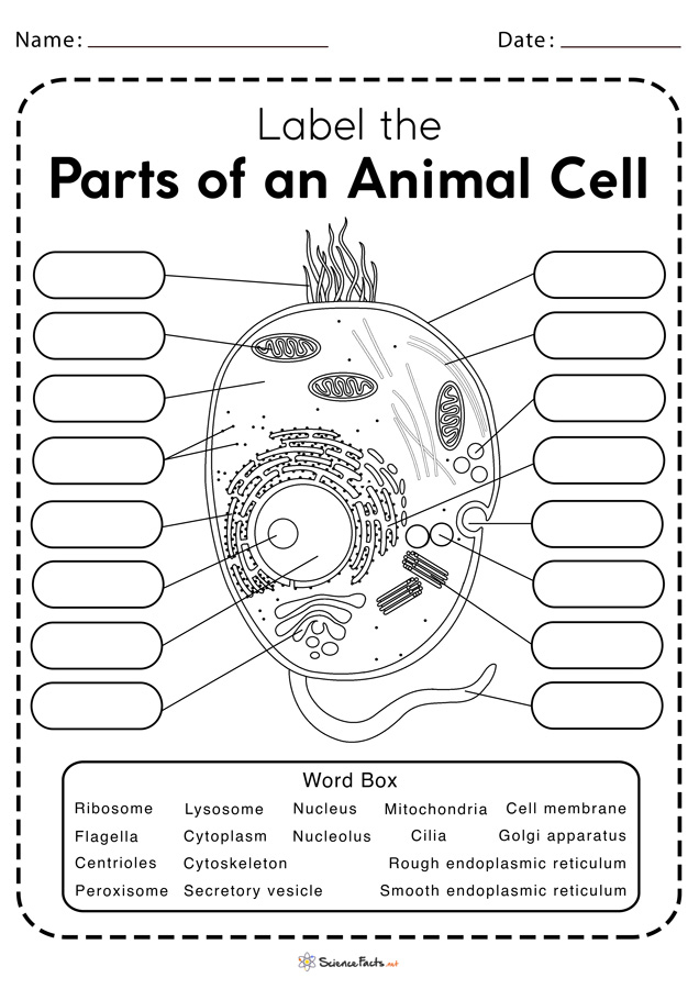 Free Printable Worksheets