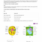 NCERT Solutions Class 8 Science Chapter 8 Cell Structure And Functions