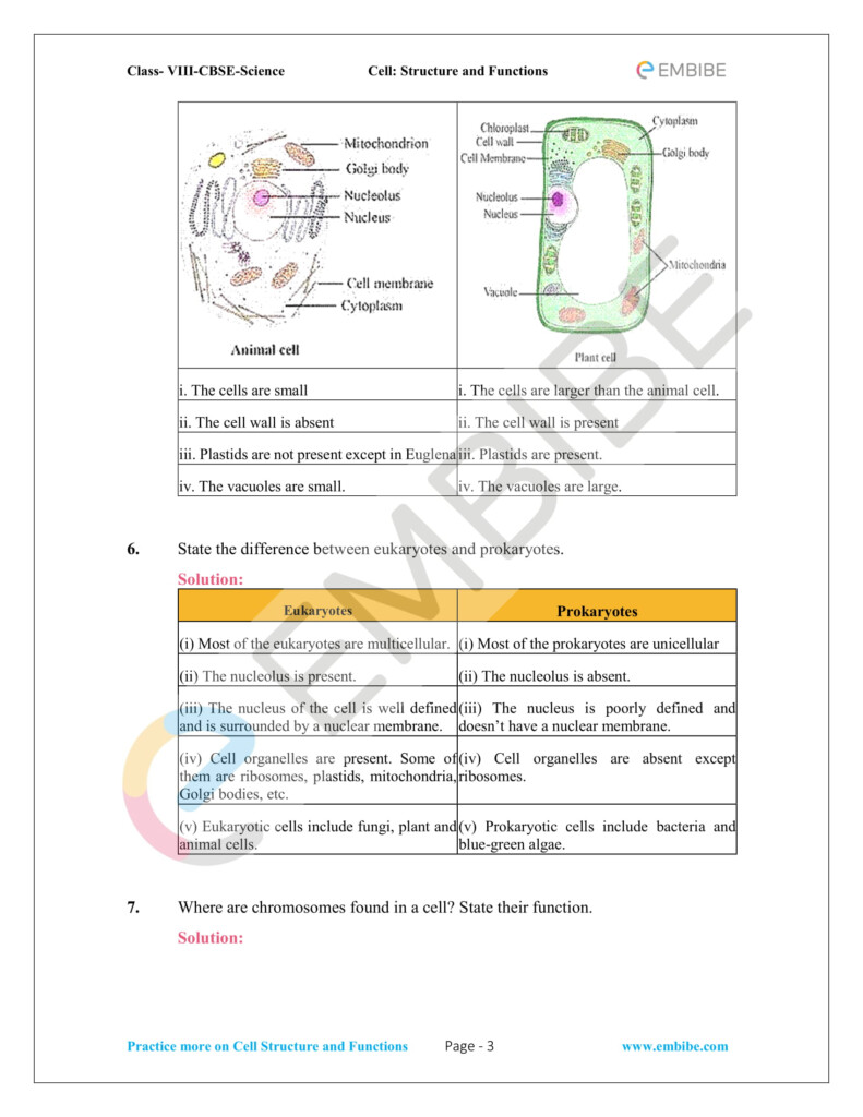 NCERT Solutions For Class 8 Science Chapter 8 PDF Download