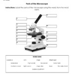 Parts Of The Microscope Worksheet