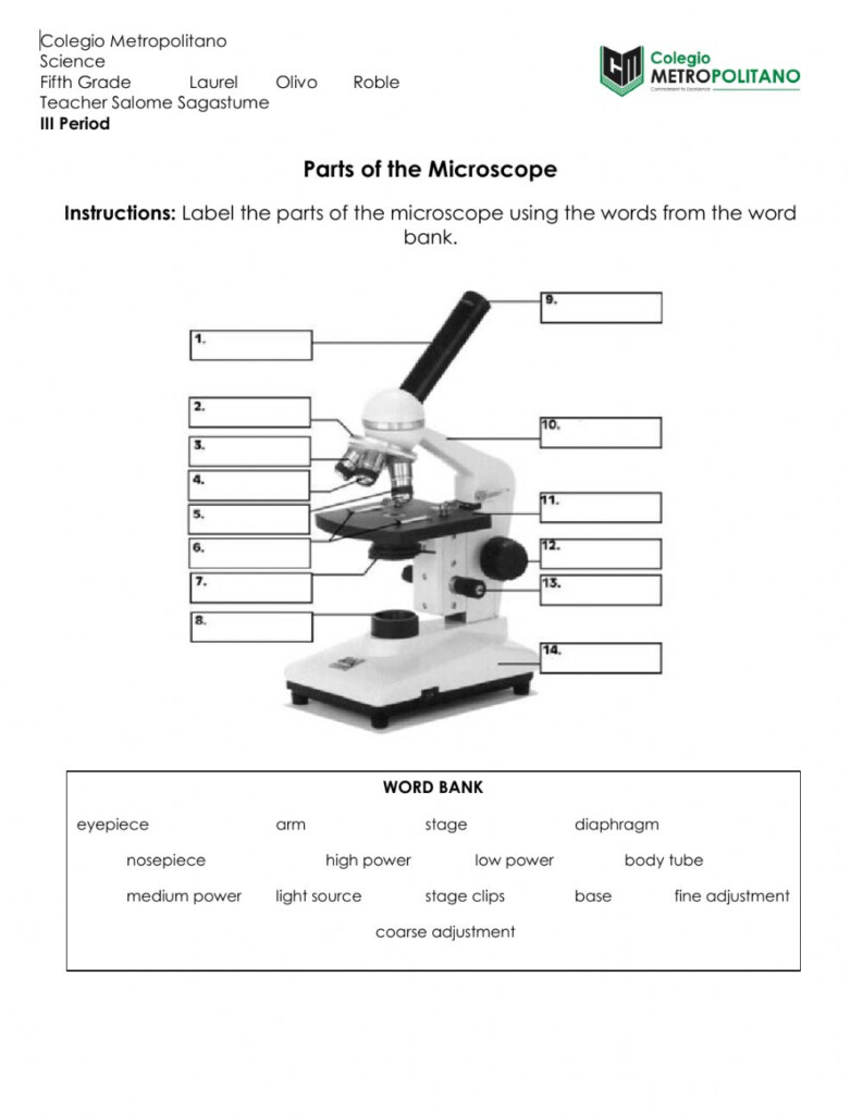 Parts Of The Microscope Worksheet