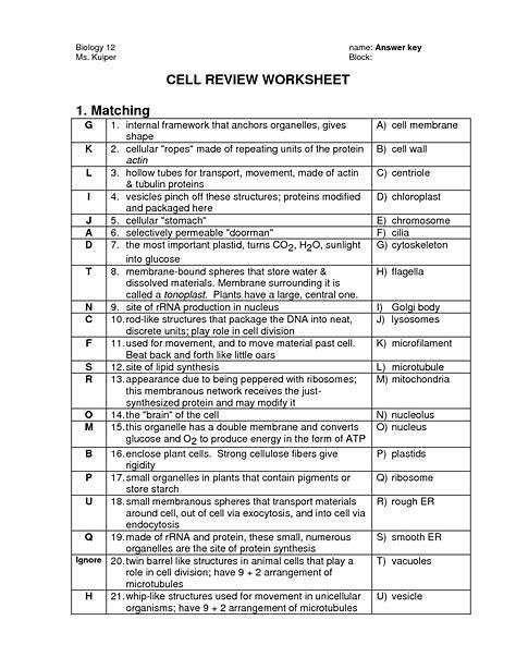 Pin On Biology