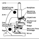 Science Microscopes Microscope Parts Scientific Method Microscope