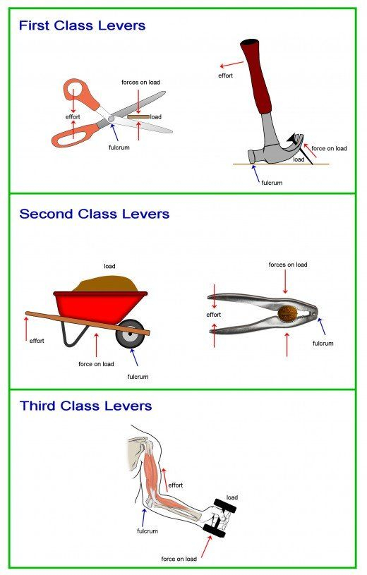 Simple Machines How Does A Lever Work Physics Lessons Physics And