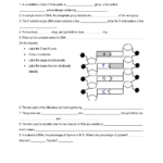 19 Best Images Of DNA Synthesis Worksheet