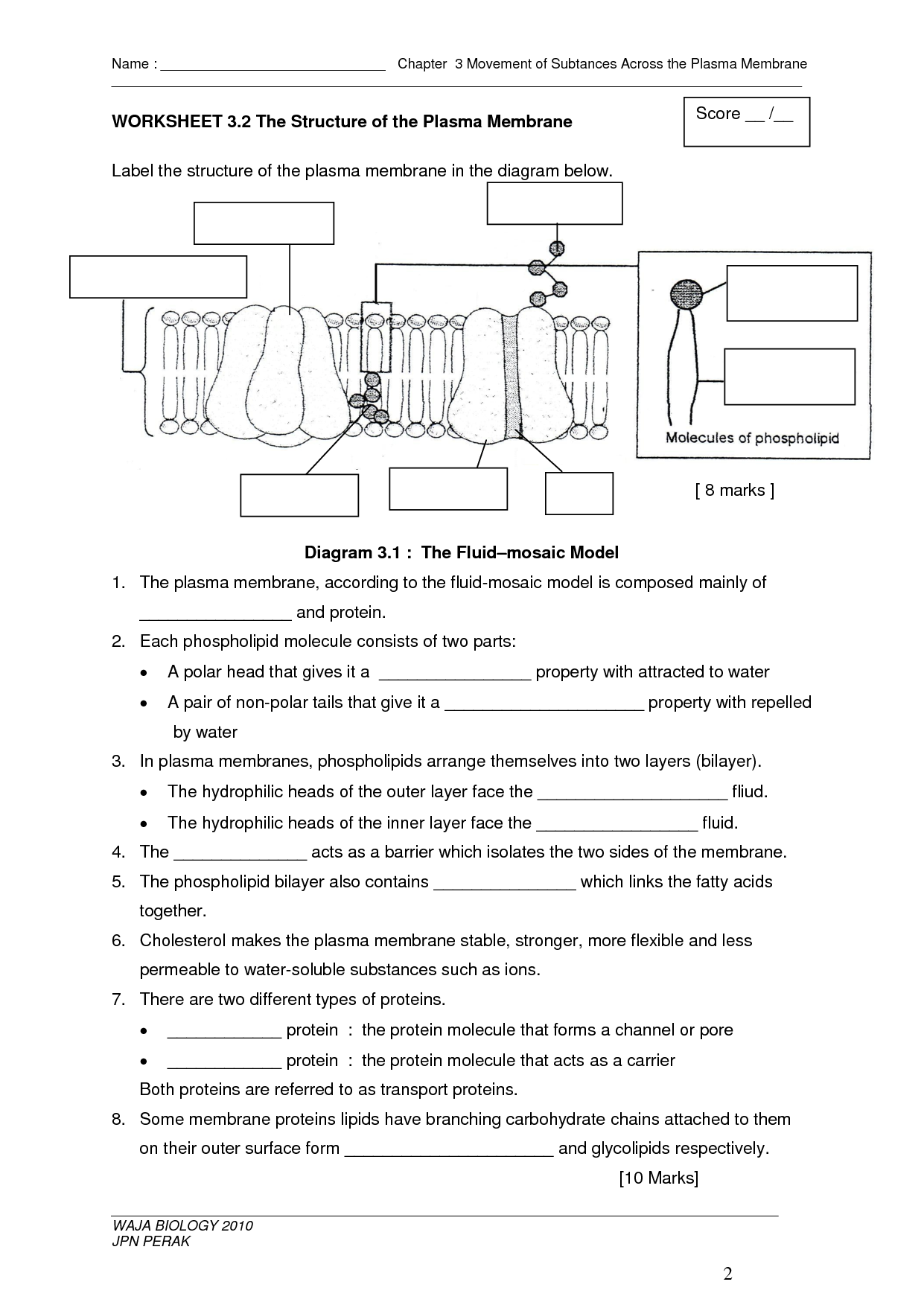 membrane-structure-and-function-worksheet-answer-key-function-worksheets