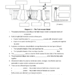 Cell Membrane Worksheet Google Search Biology Worksheet Biology