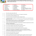Cell Organelles And Their Functions Worksheet Answer Key The Best
