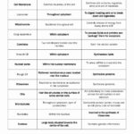 Cell Organelles And Their Functions Worksheet Answers Db excel