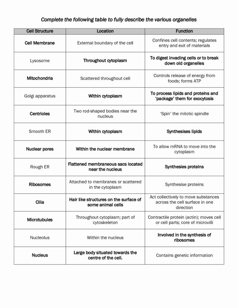 Cell Organelles And Their Functions Worksheet Answers Db excel