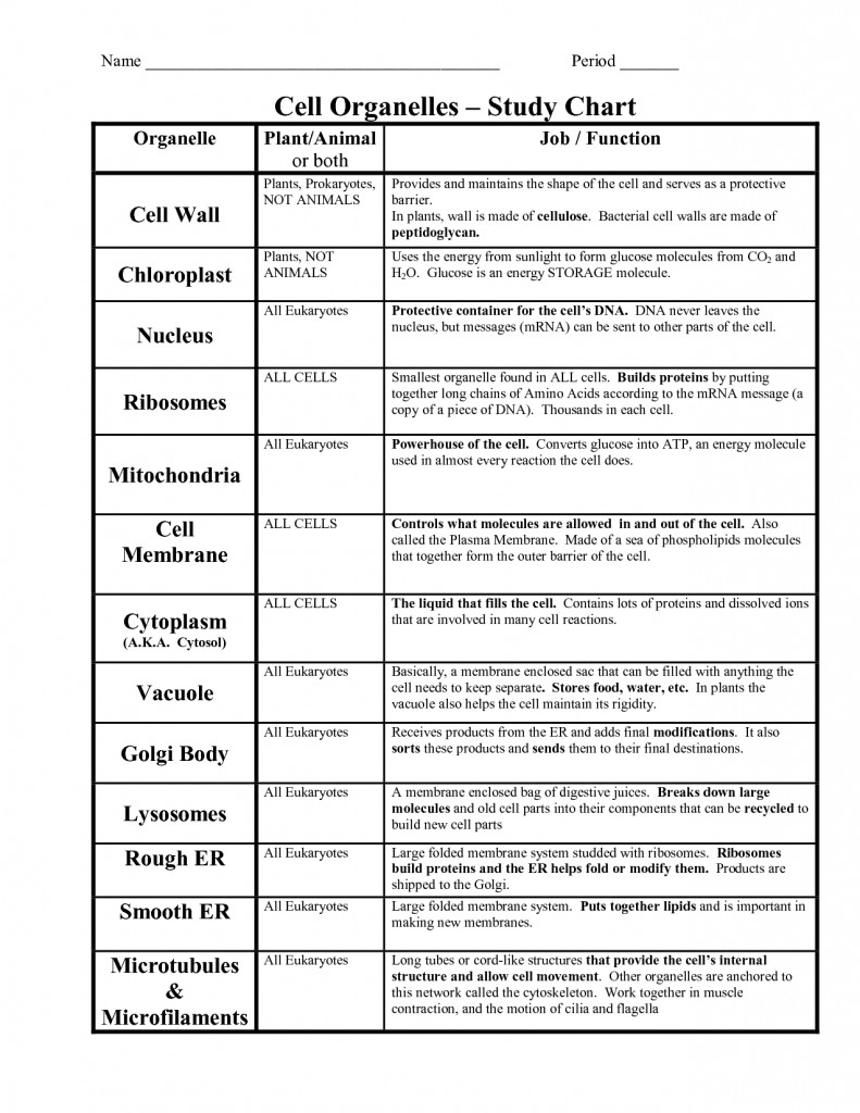 Cell Organelles And Their Functions Worksheet Answers Db excel