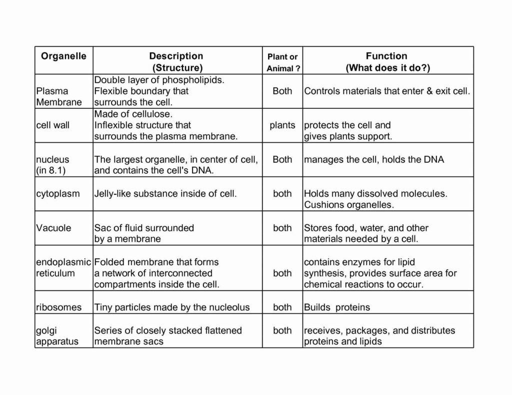 Cell Organelles Worksheet Answer Key Db excel