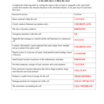 Cell Organelles Worksheet Answer Key Db excel