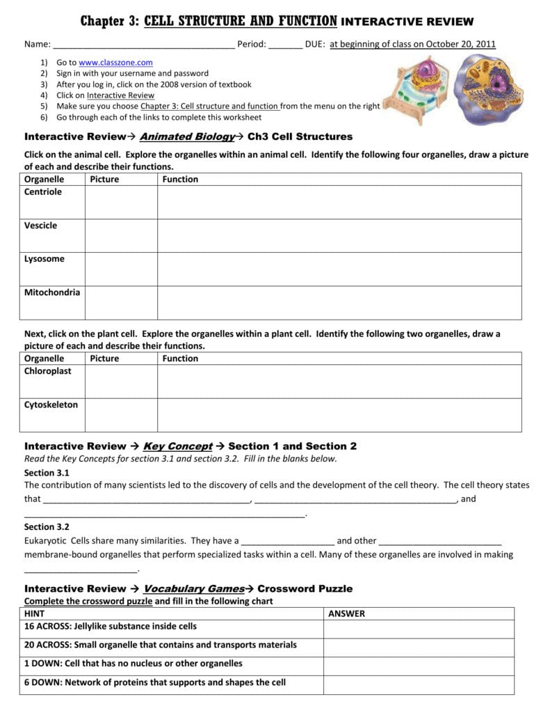 Chapter 3 Cellular Structure And Function Worksheet Answers Function 