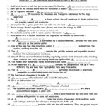 Chapter 4 Cell Structure And Function Worksheet Answers