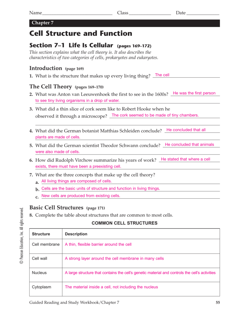 Chapter 4 Cell Structure And Function Worksheet Answers Db excel