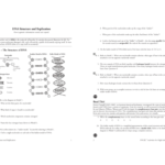 Dna Structure And Replication Worksheet Answers Key Db excel