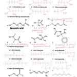 Functional Groups Worksheet MS MCLARTY S CLASSES