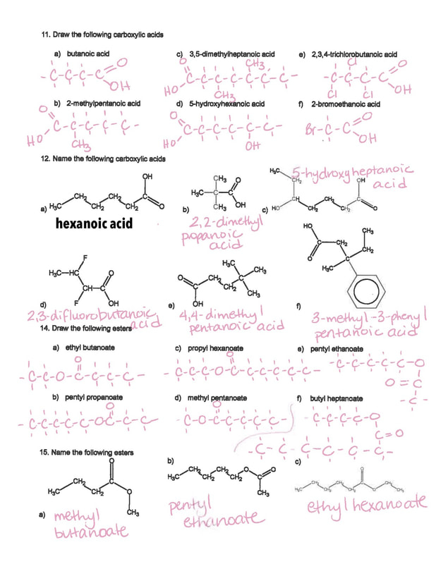 Functional Groups Worksheet MS MCLARTY S CLASSES