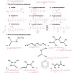 Functional Groups Worksheet MS MCLARTY S CLASSES