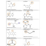 Of The Best Identifying Functional Groups Worksheet With Answers The