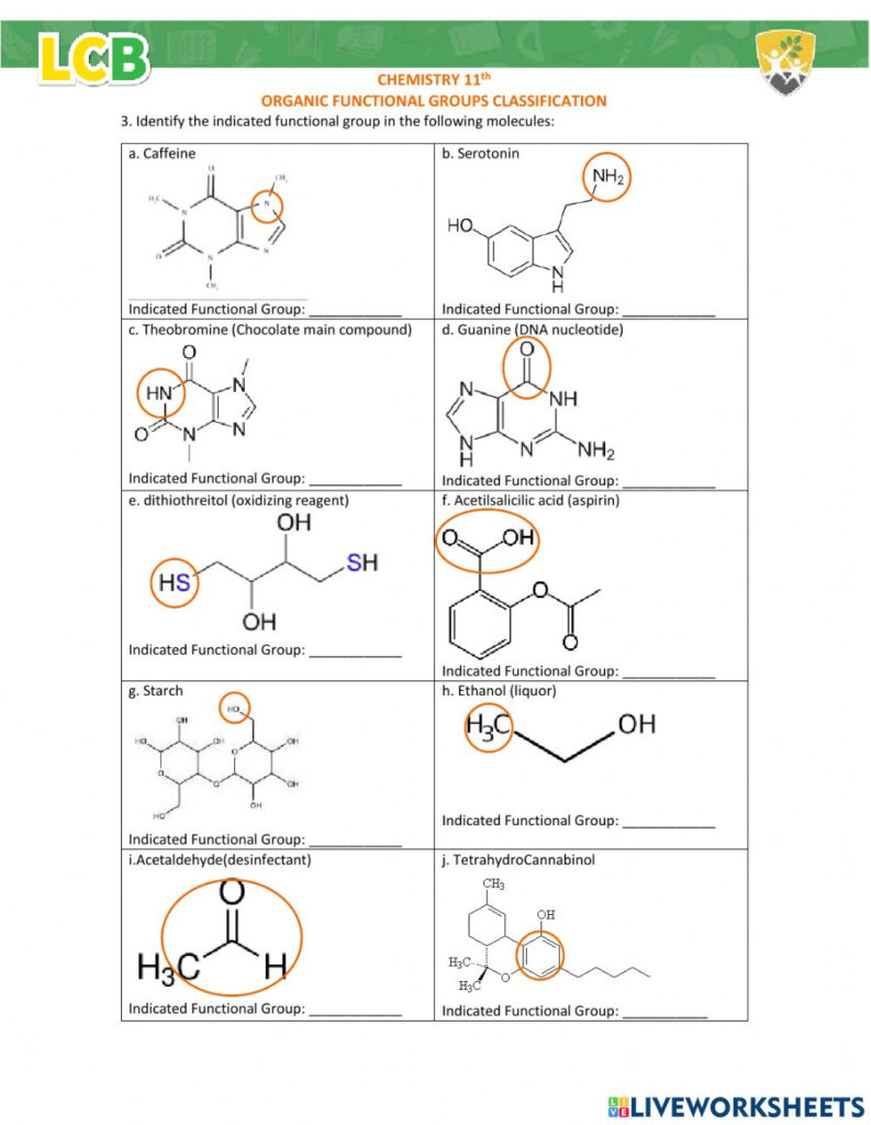 Of The Best Identifying Functional Groups Worksheet With Answers The 