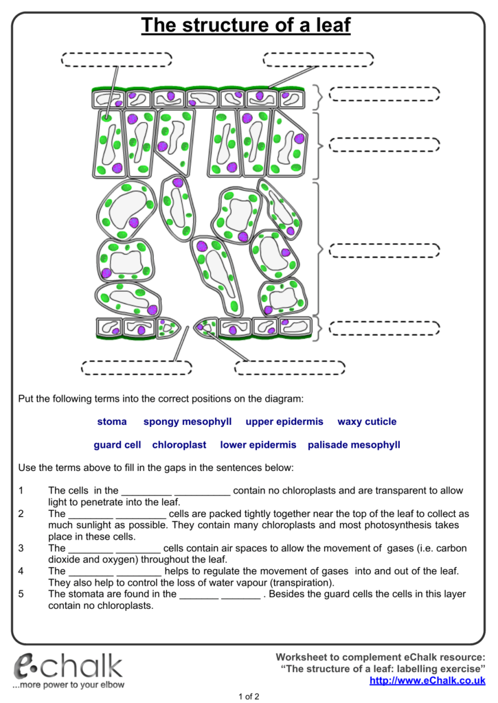 Pin On FREE Printable Worksheets