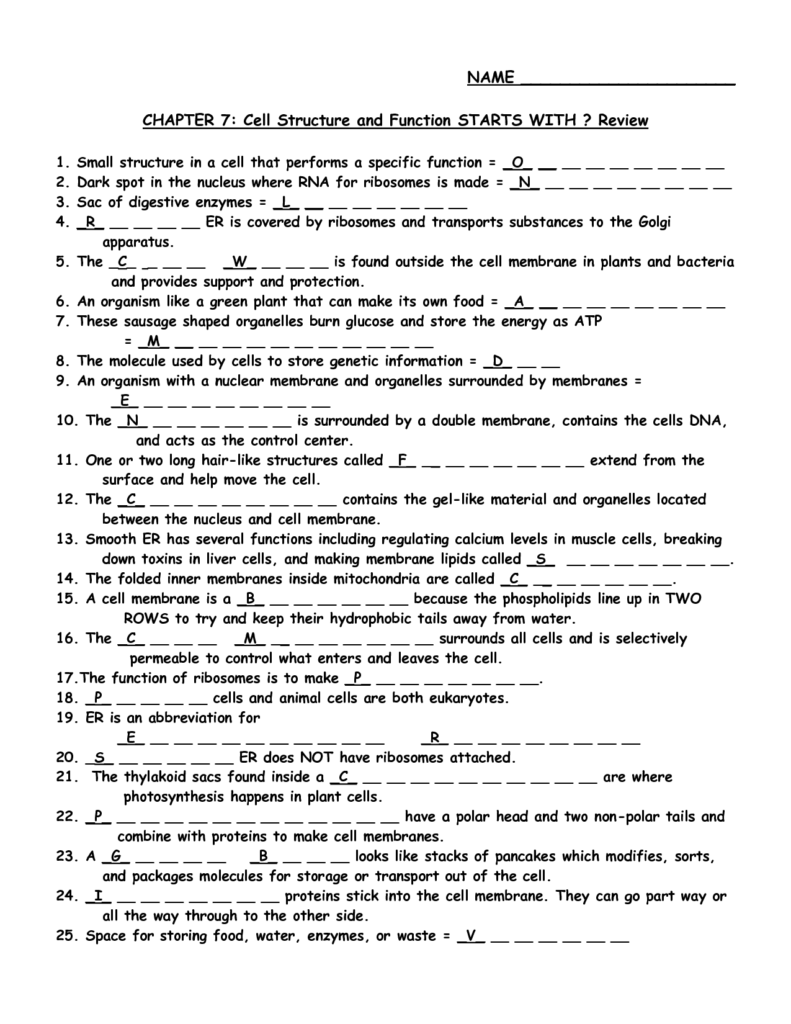 16 Cell Structure And Function Worksheet Answers Worksheeto