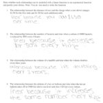 20 Writing Exponential Equations Worksheet Worksheet From Home