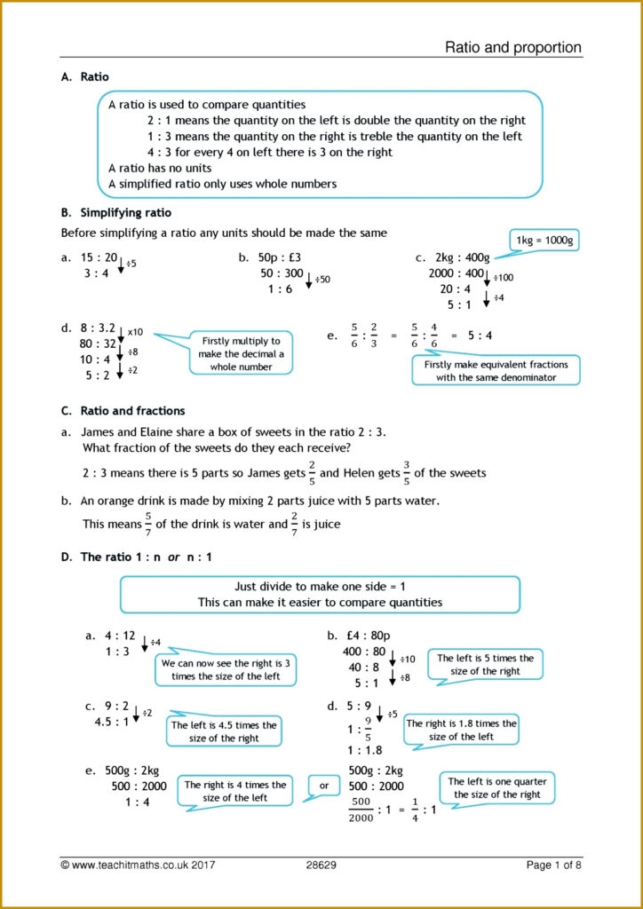 3 10 4 Cell Differentiation Worksheet Answers FabTemplatez