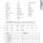 Chapter Cell Structure And Function 3 Vocabulary Practice Db excel