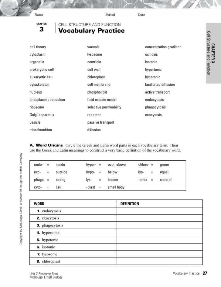 Chapter Cell Structure And Function 3 Vocabulary Practice Db excel