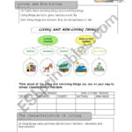 English Worksheets Living Things And Functions